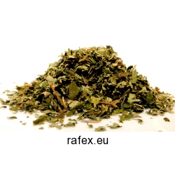 Leszczyna Liść 1 Kg